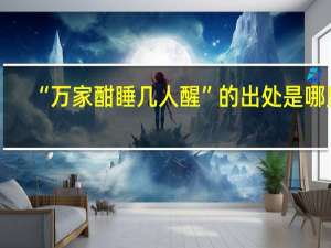 “万家酣睡几人醒”的出处是哪里