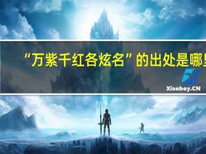 “万紫千红各炫名”的出处是哪里