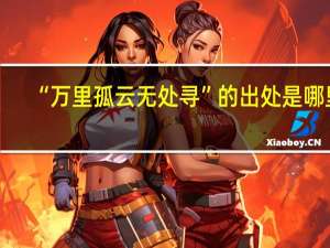 “万里孤云无处寻”的出处是哪里