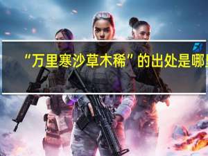 “万里寒沙草木稀”的出处是哪里
