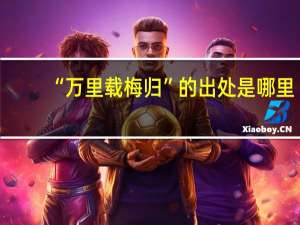 “万里载梅归”的出处是哪里