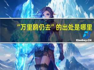 “万里鸥仍去”的出处是哪里