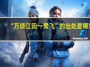 “万顷江田一鹭飞”的出处是哪里