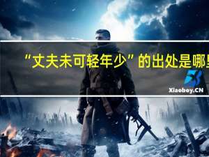 “丈夫未可轻年少”的出处是哪里