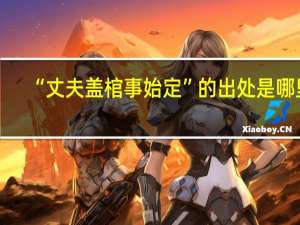 “丈夫盖棺事始定”的出处是哪里