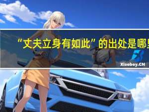 “丈夫立身有如此”的出处是哪里