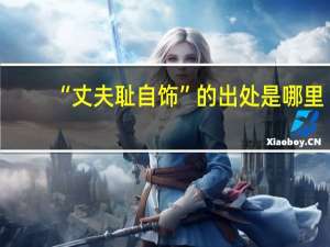 “丈夫耻自饰”的出处是哪里