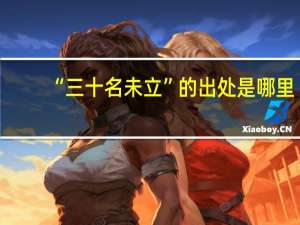“三十名未立”的出处是哪里