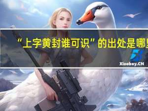“上字黄封谁可识”的出处是哪里