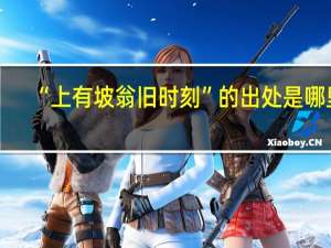 “上有坡翁旧时刻”的出处是哪里