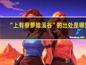 “上有垂萝暗溪谷”的出处是哪里