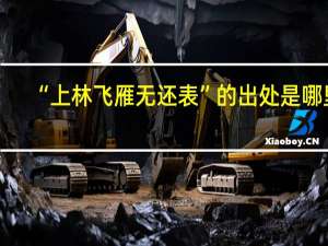 “上林飞雁无还表”的出处是哪里