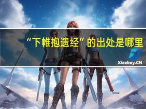 “下帷抱遗经”的出处是哪里