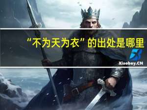 “不为天为衣”的出处是哪里