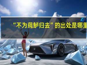 “不为莼鲈归去”的出处是哪里