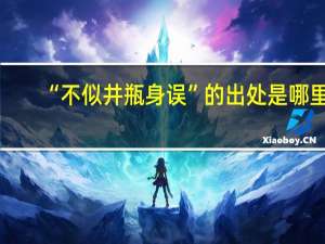 “不似井瓶身误”的出处是哪里