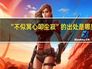 “不似冥心叩尘寂”的出处是哪里