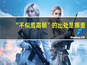 “不似雪霜朝”的出处是哪里