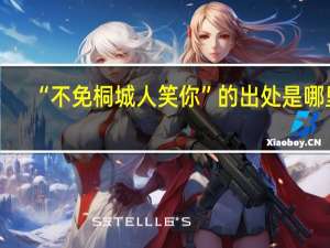 “不免桐城人笑你”的出处是哪里