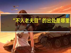 “不入老夫目”的出处是哪里