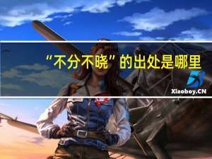 “不分不晓”的出处是哪里