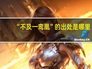 “不及一鸾凰”的出处是哪里