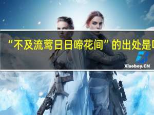 “不及流莺日日啼花间”的出处是哪里