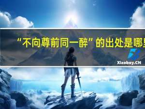 “不向尊前同一醉”的出处是哪里