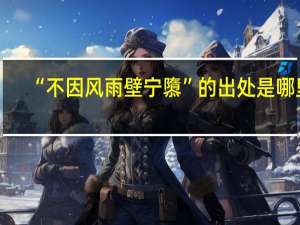 “不因风雨壁宁隳”的出处是哪里