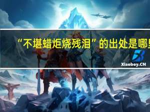 “不堪蜡炬烧残泪”的出处是哪里