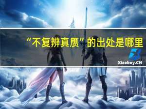 “不复辨真赝”的出处是哪里