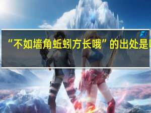 “不如墙角蚯蚓方长哦”的出处是哪里