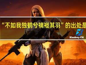 “不如我独鹤兮褵褷其羽”的出处是哪里