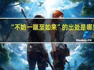 “不妨一蹴至如来”的出处是哪里