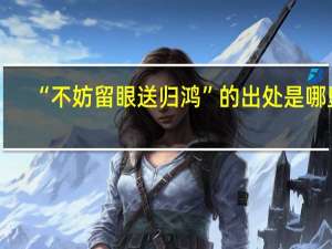 “不妨留眼送归鸿”的出处是哪里