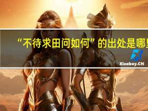 “不待求田问如何”的出处是哪里