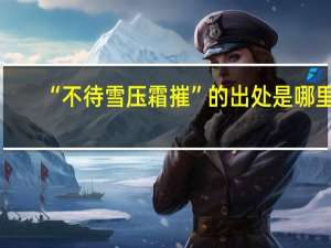 “不待雪压霜摧”的出处是哪里