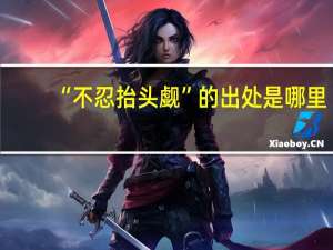 “不忍抬头觑”的出处是哪里