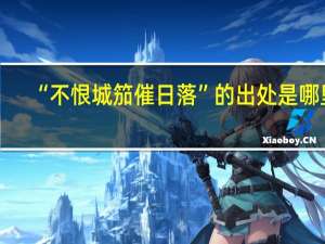 “不恨城笳催日落”的出处是哪里