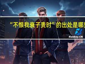 “不恨我衰子贵时”的出处是哪里