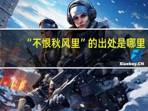 “不恨秋风里”的出处是哪里