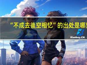 “不成去後空相忆”的出处是哪里