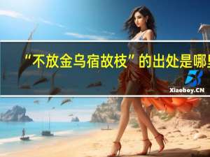 “不放金乌宿故枝”的出处是哪里