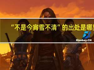 “不是今宵雪不清”的出处是哪里