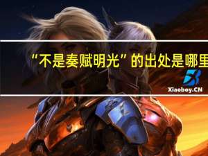 “不是奏赋明光”的出处是哪里