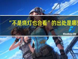 “不是烧灯也合看”的出处是哪里