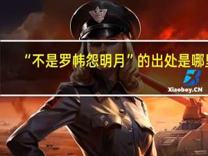 “不是罗帏怨明月”的出处是哪里