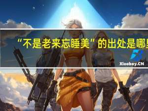 “不是老来忘睡美”的出处是哪里