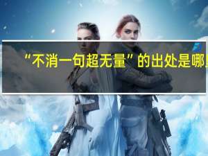 “不消一句超无量”的出处是哪里