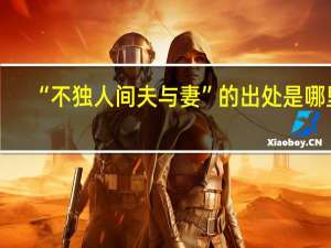 “不独人间夫与妻”的出处是哪里